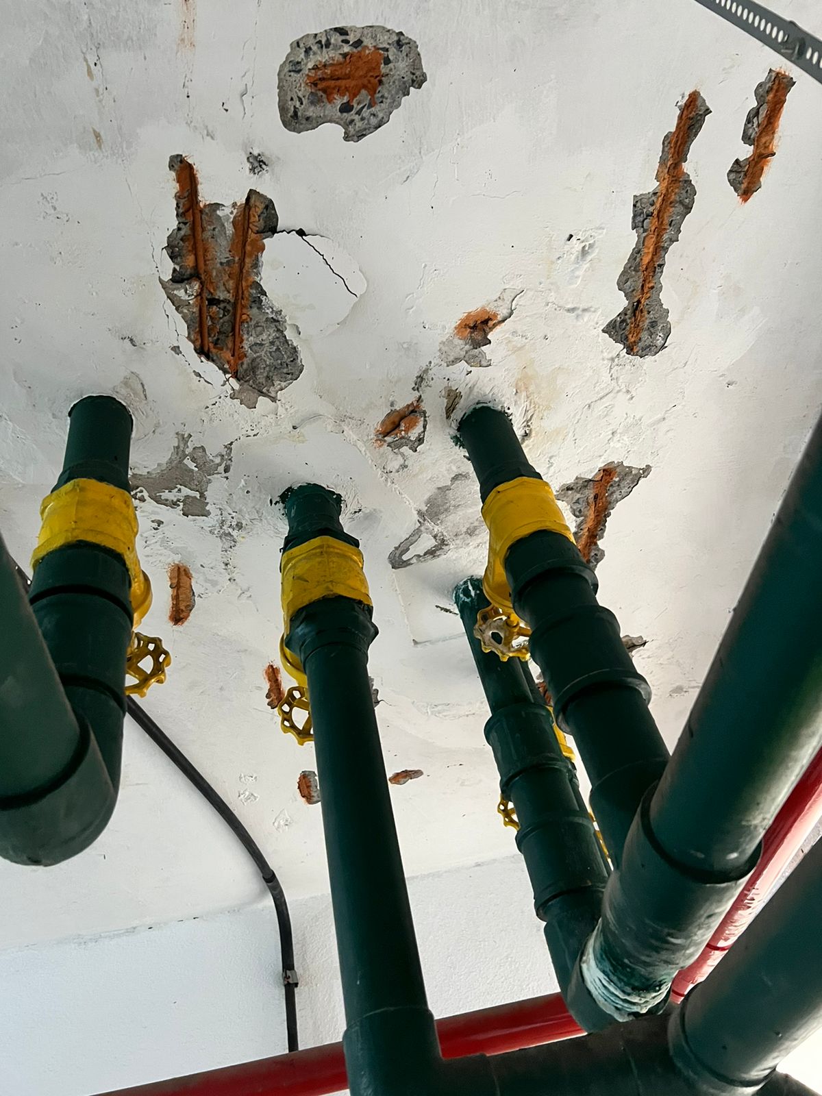 WhatsApp Image 2023-08-22 at 15.13.51.jpeg