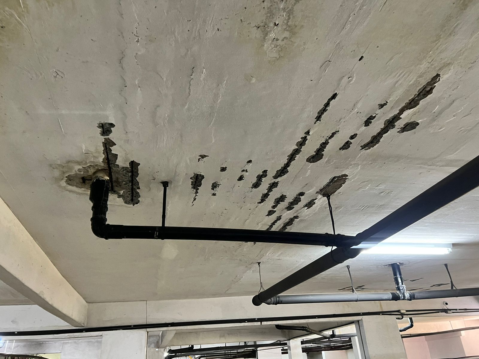 WhatsApp Image 2023-08-22 at 15.13.49.jpeg